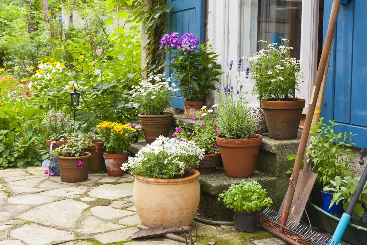 10 idees pas cheres a adopter pour embellir votre jardin