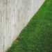 Barrières anti-rhizome : la solution pour les racines qui dépassent sur votre pelouse